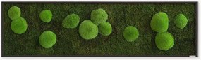 Quadro emoldurado artesanal com musgo Forest & Ball Wild