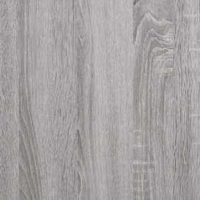 Sapateira 102x36x60 cm derivados de madeira cinzento sonoma
