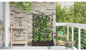Jardineira com Treliça 2 pcs Castanho 80x40x125.5 cm