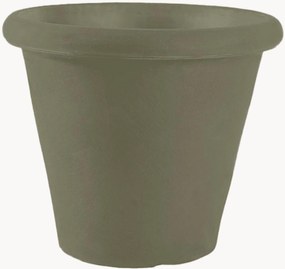 Vaso Camelia
