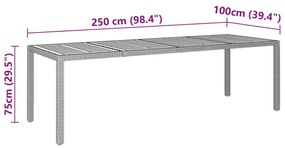 Mesa de jardim 250x100x75 cm vime PE/acácia maciça cinzento