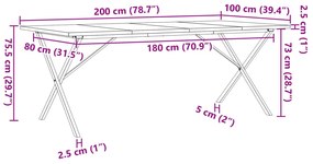 Mesa de jantar estrutura X 200x100x75,5 cm pinho/ferro fundido