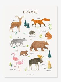 Póster Animais da Europa, Living Earth da LILIPINSO castanho
