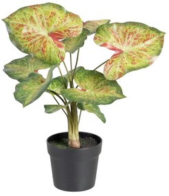 Planta Decorativa 48 X 46 X 55 cm Vermelho Verde Pvc