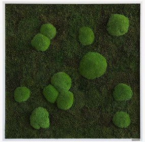 Quadro emoldurado artesanal com musgo Forest & Ball Wild
