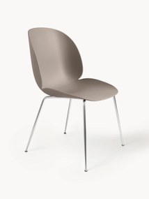 Plastic Chair Beetle