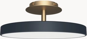 Candeeiro de teto LED regulável Asteria, vários tamanhos