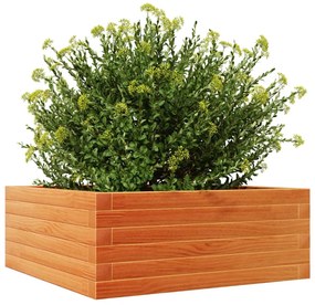 Vaso/floreira de jardim 60x60x23 cm pinho maciço castanho mel