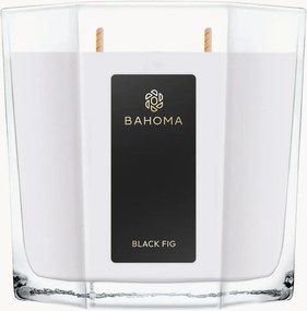 Vela perfumada Black Fig (jasmim, figo, sândalo)
