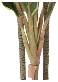 Planta Decorativa DKD Home Decor Dracaena Verde PE (50 x 50 x 120 cm)