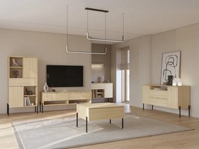 Conjunto para sala de estar Levtenu 118