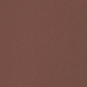 Toldo lateral retrátil para pátio 140x300 cm castanho