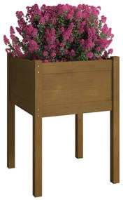 Vaso/floreira jardim 2 pcs 50x50x70cm pinho maciço castanho mel