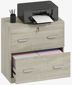 Vinsetto Armário para Arquivos com Gavetas para Escritório Armário de Arrumação de Escritório com Fechadura e 2 Chaves para Estúdio Dormitório 77x42x72 cm Madeira