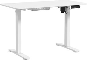 Vinsetto Mesa para Trabalho em Pé Mesa Ajustável Elétrica 120x60x72-116 cm Branco | Aosom Portugal