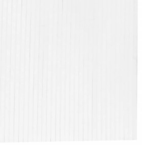 Divisória 165x600 cm bambu branco