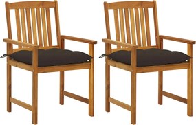 vidaXL Cadeiras de jardim com almofadões 2 pcs acácia maciça