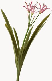 Ramos artificiais Crinum, conjunto de 2