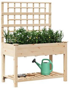 Plantador de Jardim vidaXL com Treliça e Estante 115x59x152 cm de Made