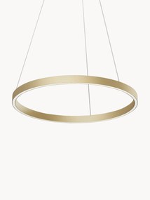 Candeeiro suspenso LED grande Rim