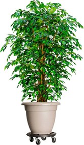 vidaXL Carrinho de plantas com rodas 3 pcs diâmetro 40 cm 275 kg preto
