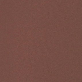 Toldo lateral retrátil para pátio 160x300 cm castanho