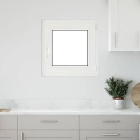 vidaXL Janela de porão "RISOR" 50x50 cm oscilobatente DIN direita antracite