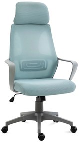 Vinsetto Cadeira Escritório Ergonômica Ajustável Suporte 120 kg Azul Conforto Duradouro 64x58x116-126 cm