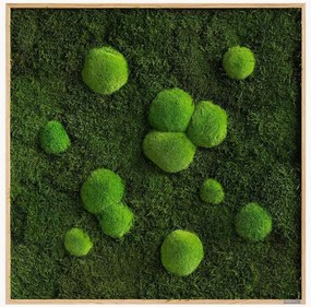 Quadro emoldurado artesanal com musgo Forest & Ball Wild