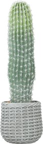 HOMCOM Cacto Artificial 66 cm, Planta Artificial Decorativa com Vaso para Decoração de Interiores Verde | Aosom Portugal
