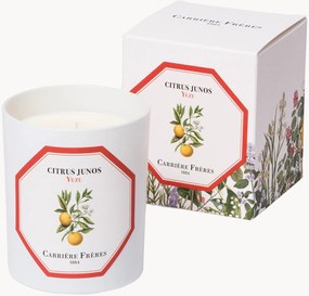 Vela perfumada Yuzu (fresco, ácido, tónica)