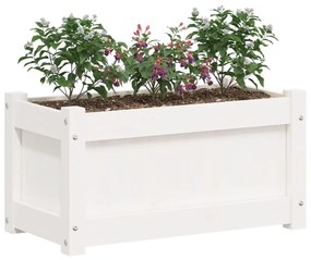 Vaso/floreira de jardim 60x31x31 cm pinho maciço branco