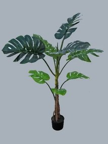 Planta Costela-De-Adão c/130cm