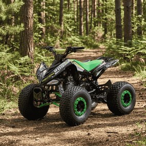 MINI MOTO 4 GASOLINA PARA CRIANÇAS 110cc PANTERA R8 automático com marcha atrás Verde