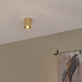 Foco de teto dourado/latão inclinável e rotativo - Rondoo up