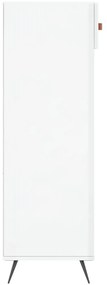 Sapateira 60x35x105 cm derivados de madeira branco brilhante