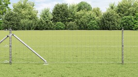 vidaXL Cerca Euro com 7 Postes de Espeto 0.6x10 m Aço Galvanizado