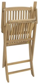 Cadeiras de jardim dobráveis 2 pcs 58x54,5x90 cm acácia maciça