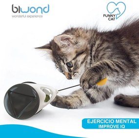 Brinquedo interativo para animais de estimação para Gatos Funny Cat