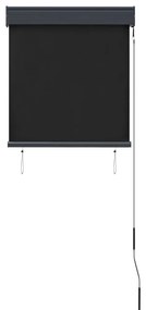 Estore de rolo para exterior 60x250 cm antracite
