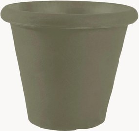 Vaso Camelia