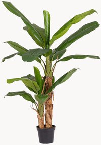 Plantas artificiais Banana, conjunto de 2