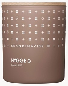 Vela perfumada Hygge (chá preto, folhas de menta, maçãs secas)