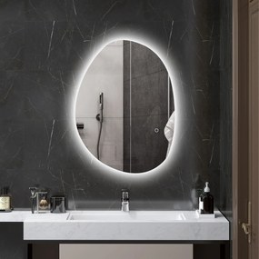 Espelho de Casa de Banho LED 3 Cores de Luz Brilho Regulável Função Anti-Embaciamento Função Memória IP44 70x50 cm Prata