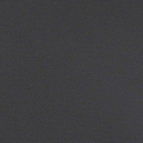 Toldo lateral retrátil 200x600 cm preto
