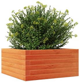 Vaso/floreira de jardim 50x50x23 cm pinho maciço castanho-mel