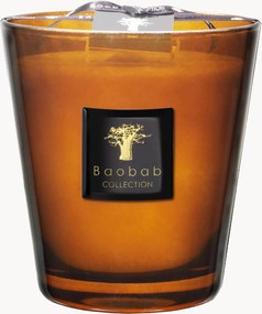 Vela perfumada Prestigieuses (Couro, Vetiver, Almíscar)