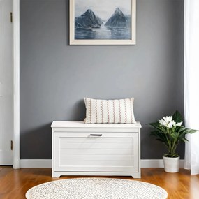 Sapateira com tampa 80 x 30 x 46 cm (C x L x A) Branco