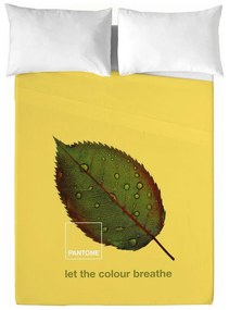 Conjunto de Lençóis Nature Pantone Cama de 90 (160 X 270 cm)