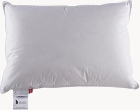 Almofada de plumas de três câmaras Jack The Dullard, média
